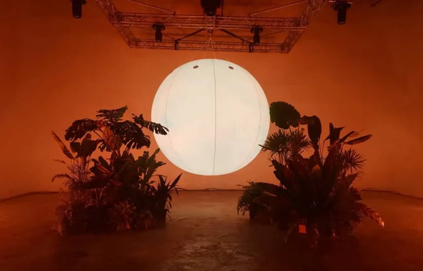 Installation art using a large illuminated sphere and plants